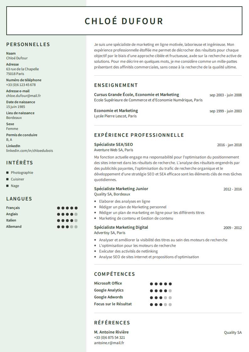 Exemples de cv professionnel à télécharger  CVmaker