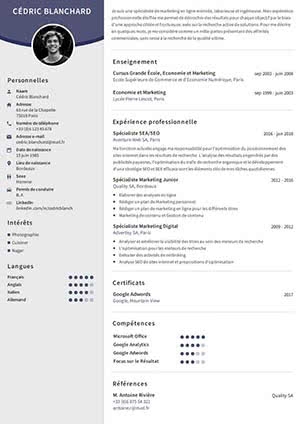 Modèle de CV gratuit