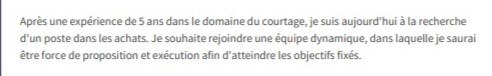 exemple de cv de profil personnel