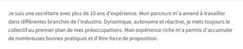exemple de cv de profil personnel