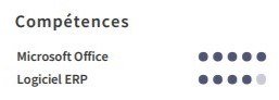 exemple de cv de compétences