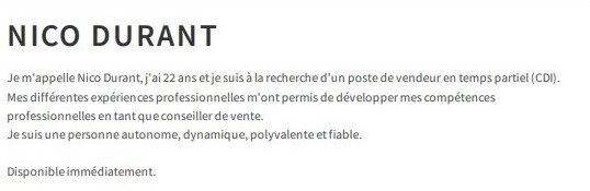 exemple de cv de profil personnel
