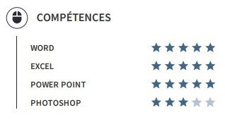 exemple de cv de compétences