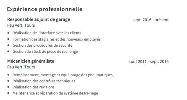 Experience-professionnelle.jpg