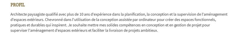 exemple de cv de profil personnel