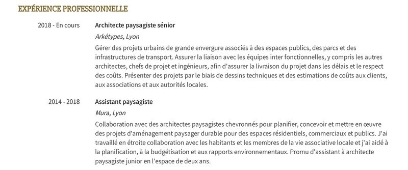 exemple de cv d'expérience professionnelle