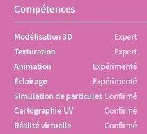 exemple de cv de compétences