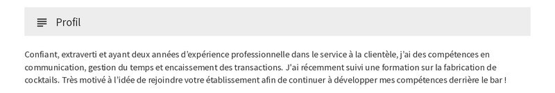 exemple de cv de profil personnel
